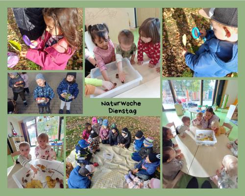 Naturwoche-Zusammenfassung-2