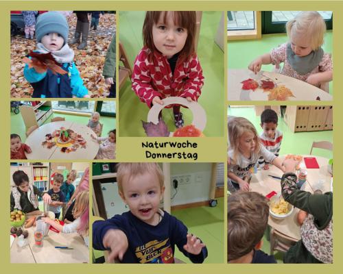 Naturwoche-Zusammenfassung-4
